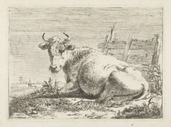 Mucca sdraiata vicino a una recinzione