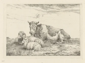 Mucca addormentata con pecora e agnello