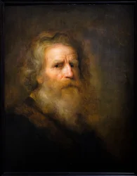 Testa di un vecchio