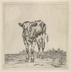 Paesaggio con vitello