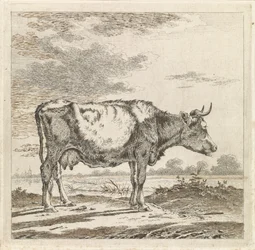 Paesaggio con mucca sulla riva