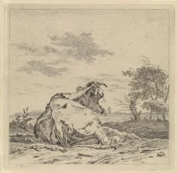 Paesaggio con mucca sdraiata