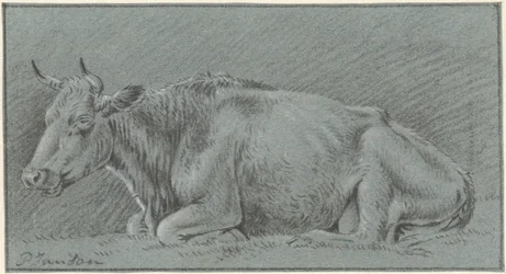 Mucca sdraiata