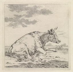 Mucca sdraiata, verso destra