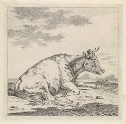 Mucca sdraiata, verso destra