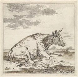 Mucca sdraiata, verso destra