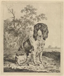 Cane da caccia seduto