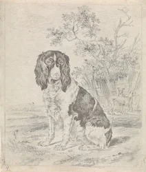 Cane da caccia seduto