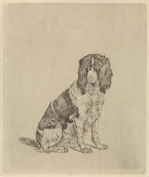 Cane da caccia seduto