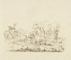 Prato con mucca e pecore