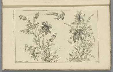 Due cespugli di fiori e una rondine