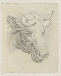 Testa di una mucca
