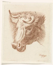 Testa di toro