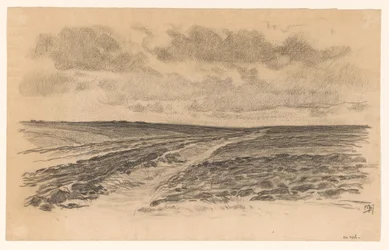 Il frassino