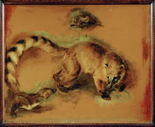 Un coati e un piccolo roditore (dipinto su tela)