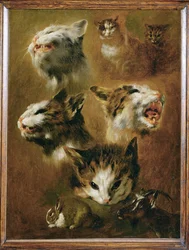 Testa di gatto, coniglio, capra (pittura su tela)