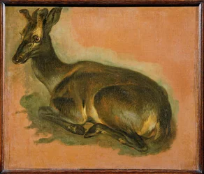 Cervo, sdraiato (pittura su tela)