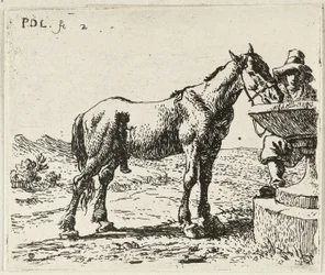 Cavallo da bere