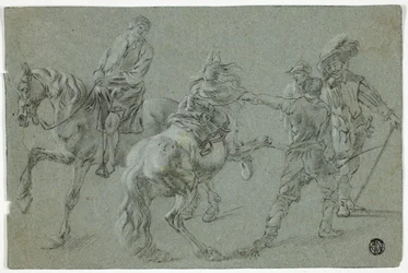 Scuola di equitazione