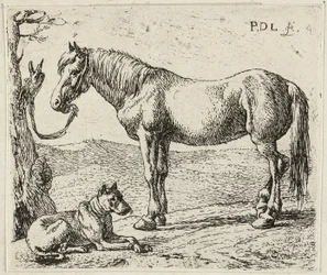 Il cavallo e il cane