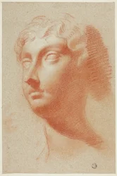 Testa femminile