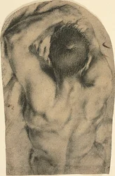 Mezzo busto di nudo maschile sdraiato visto da dietro