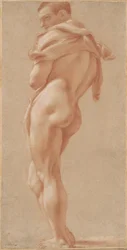 Nudo Maschile in Piedi Visto da Dietro