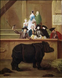 Rinoceronte: esposizione di Clara, rinoceronte indiano. 1751. Museo veneziano del XVIII secolo. Ca