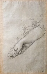 Mani e braccia, studio per l