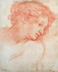 Studio di una testa di ragazza