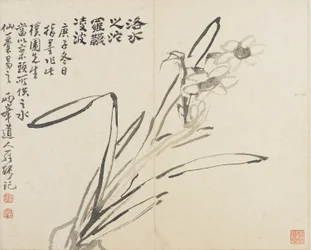 Paesaggi, fiori e uccelli: Narciso, Dinastia Qing