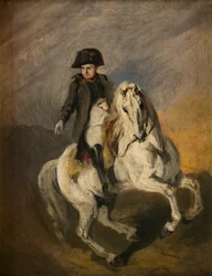 Napoleone su un Cavallo Grigio