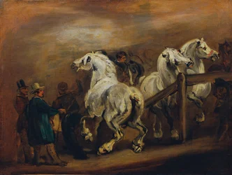 Mercato dei cavalli