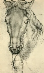 Testa di un cavallo, c1420-1455, 1943