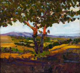 Il saluto del sole