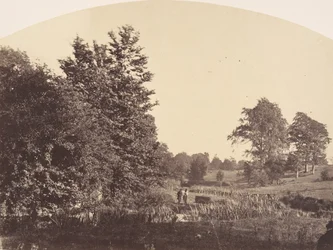 Il ruscello nel bosco