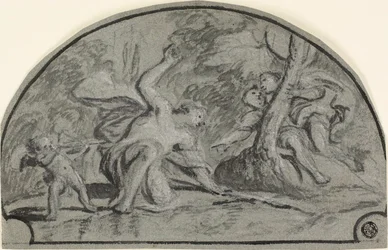Narciso