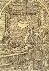 Somministrazione di erbe medicinali, 1534