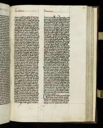 Pagina 299 dal Libro 20 di 