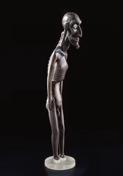 Figura di legno scolpita a forma di uomo, da Isola di Pasqua, prima del 1894