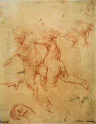 Due putti volanti, studio