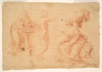 Studi per