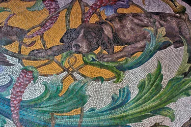 Pavimento raffigurante un cane da caccia