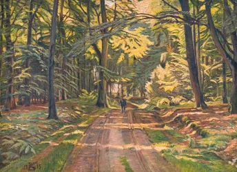 Strada forestale presso Dyrnæs