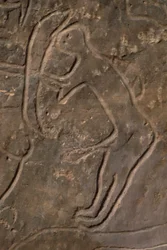 Figura umana e testa di toro (incisione rupestre)