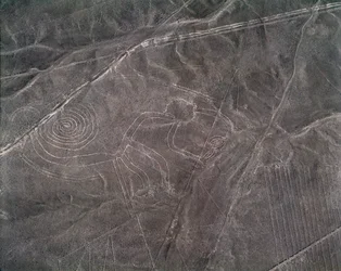 Veduta aerea di una figura di scimmia, Linee di Nazca