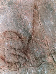 Figura di antilope, pittura rupestre, periodo paleolitico (40000-12000 a.C. circa) (foto)