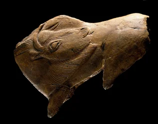 Bisonte che si alza (scultura in legno di renna dal rifugio della Madeleine in Dordogna. 11000 a.C.)