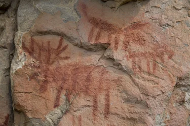 Pittura Rupestre, Salmon-Challis National Forest (foto)
