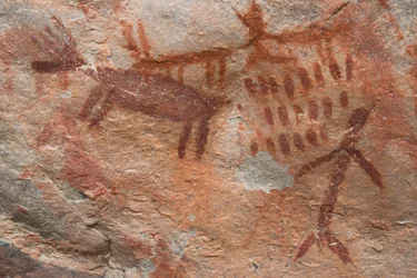 Pittura rupestre, Salmon-Challis National Forest
